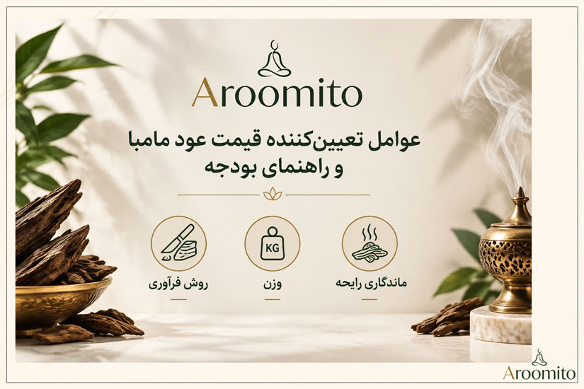 عوامل تعیین‌کننده قیمت عود مامبا و راهنمای بودجه